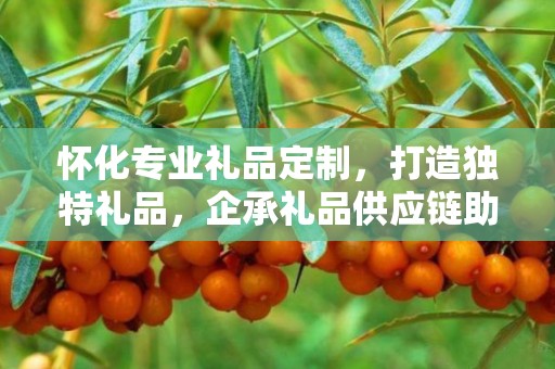 怀化专业礼品定制，打造独特礼品，企承礼品供应链助力商务发展