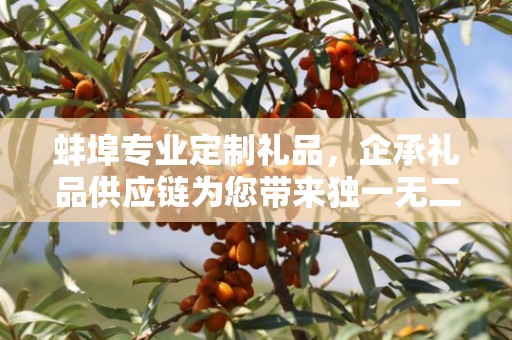 蚌埠专业定制礼品，企承礼品供应链为您带来独一无二的礼品体验
