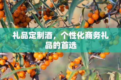 礼品定制酒，个性化商务礼品的首选